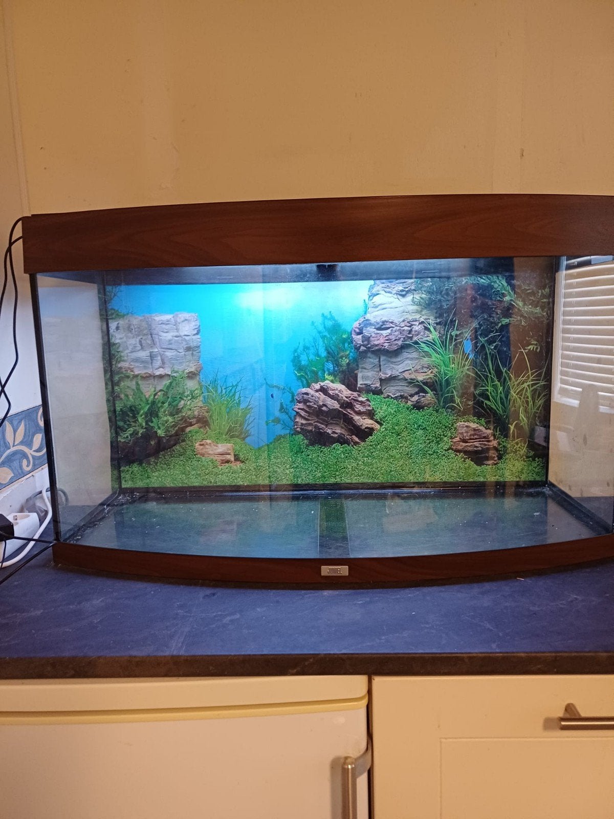 Aquarium met toebehoren, Ophalen, Gebruikt, Leeg aquarium