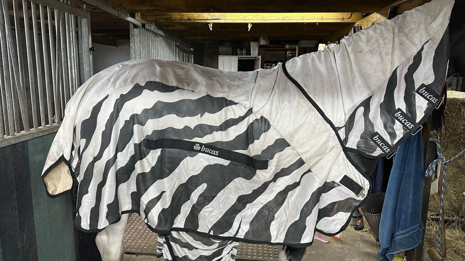 Bucas vliegendeken ‘buzz off rain’ full neck, Dieren en Toebehoren, Ophalen of Verzenden, Gebruikt, Vliegendeken