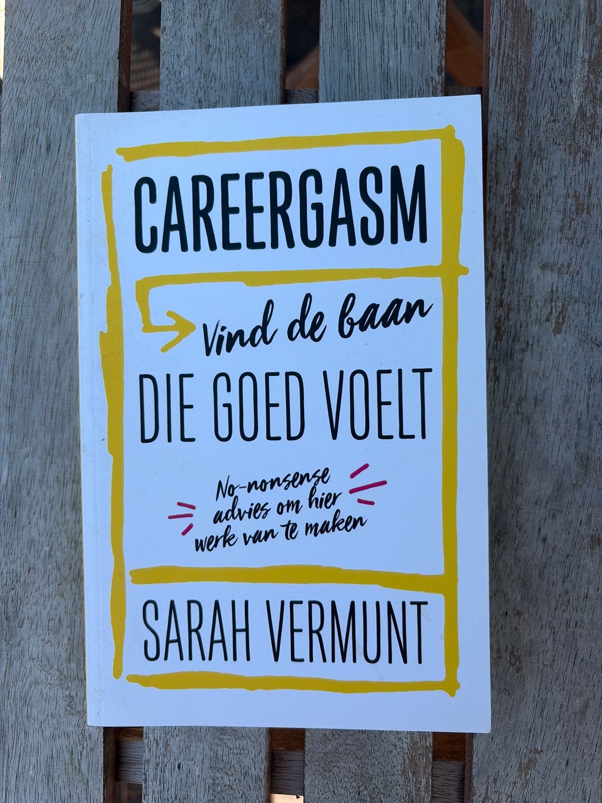 CareerGasm: Vind de baan die goed voelt - Sarah Vermunt, Ophalen, Zo goed als nieuw