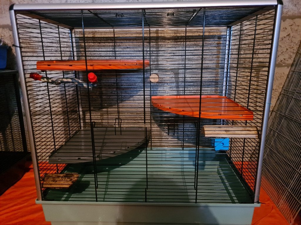 Rattenkooi 'Jenny', Ophalen, Gebruikt, 60 tot 90 cm, 75 tot 110 cm
