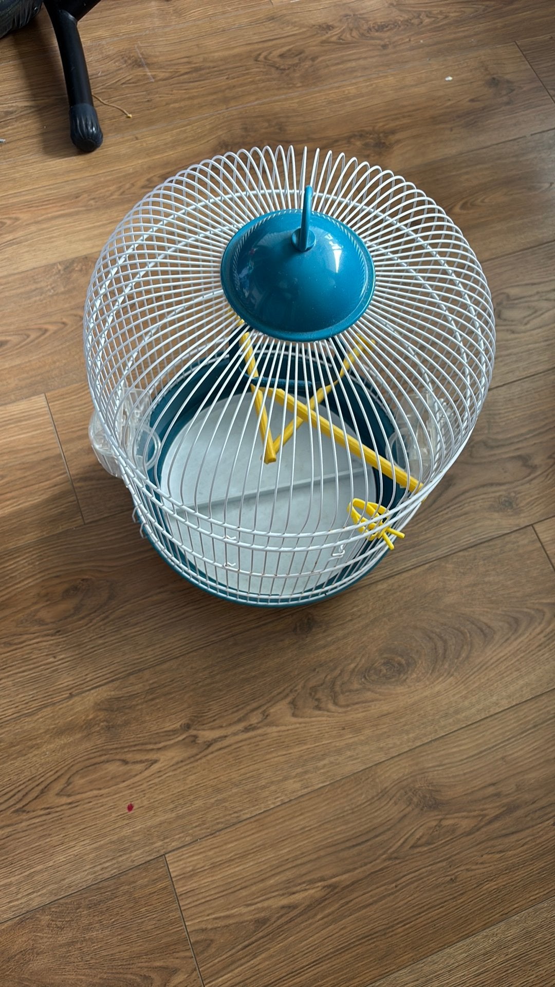 Vogelkooi Ferolats, Dieren en Toebehoren, Vogels | Hokken en Kooien, Ophalen of Verzenden, Zo goed als nieuw, Metaal, Vogelkooi
