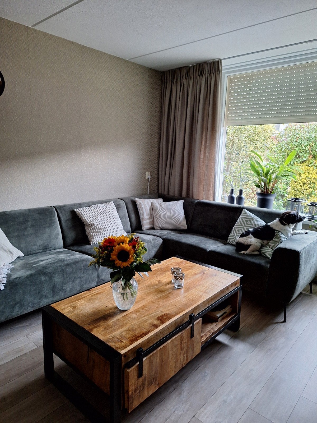 Salontafel en TV-meubel van mangohout, Ophalen
