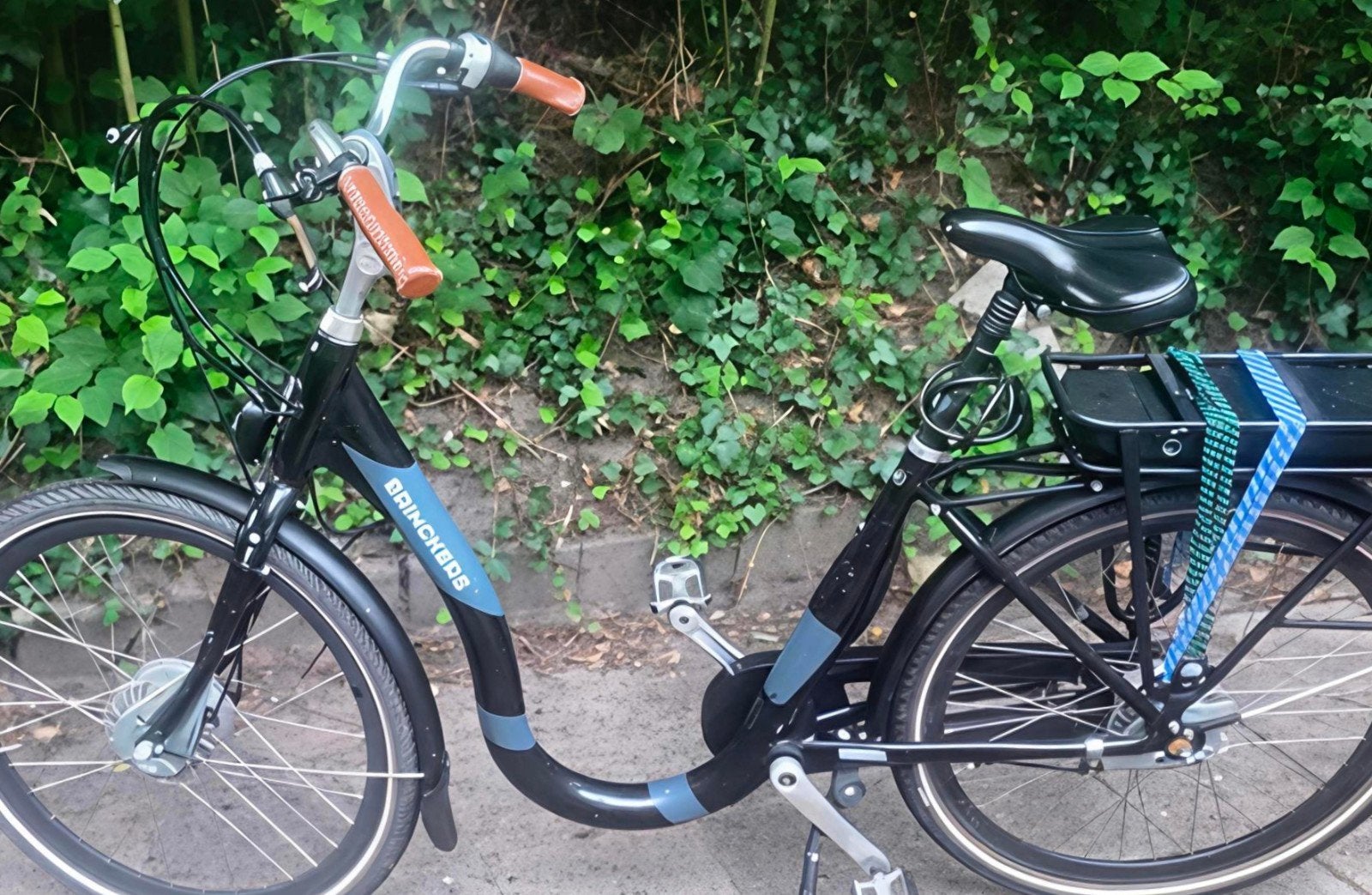 Brinckers Bern E-bike met lage instap en werkende accu, Ophalen, Minder dan 30 km per accu, Gebruikt, Brinckers