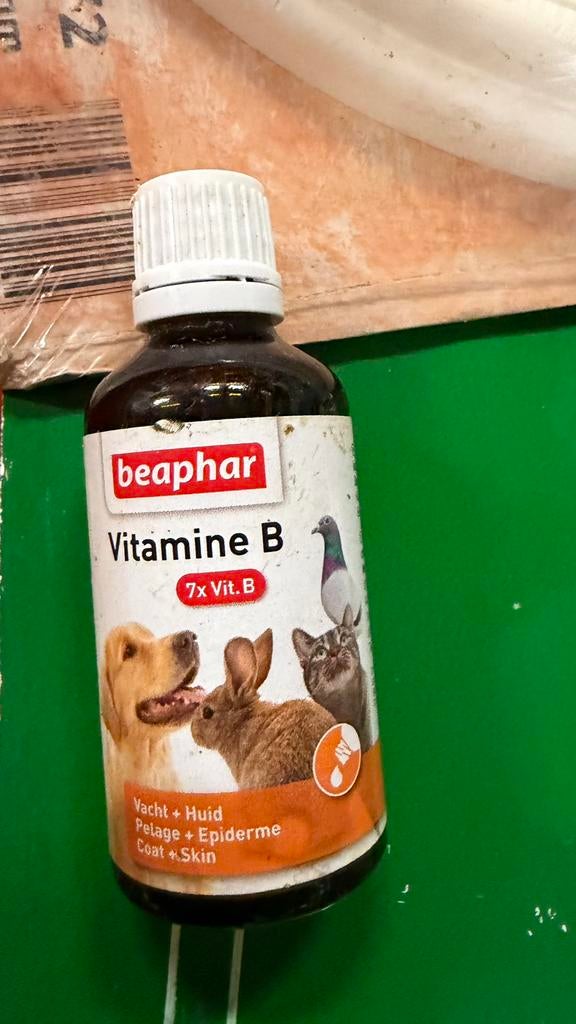 Beaphar Vitamine B-Complex Voedingssupplement Weerstand 50ml, Dieren en Toebehoren, Dierenvoeding, Ophalen of Verzenden