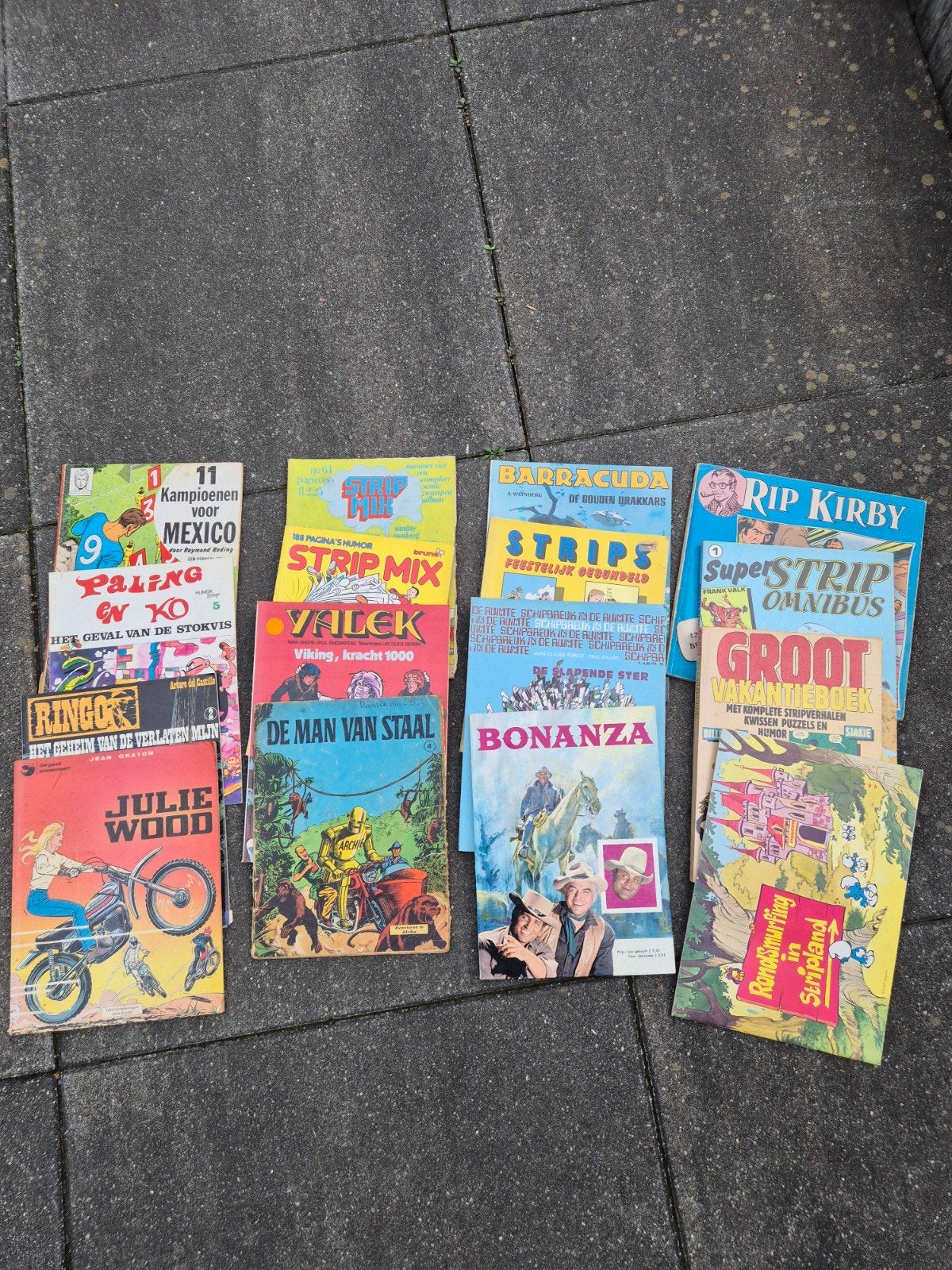 Grote collectie diverse stripboeken, Boeken, Ophalen of Verzenden