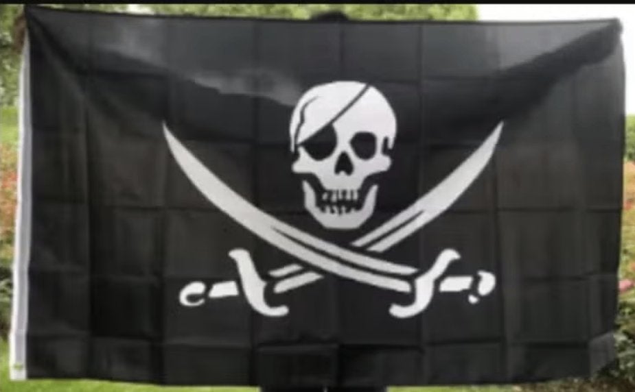 Grote vlag Piraten (150x90cm), Diversen, Ophalen of Verzenden, Nieuw