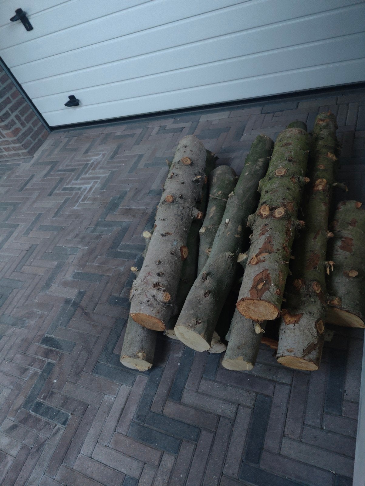 Brandhout voor kachel -11 Stammen, Minder dan 3 m³, Ophalen, Overige houtsoorten, Stammen