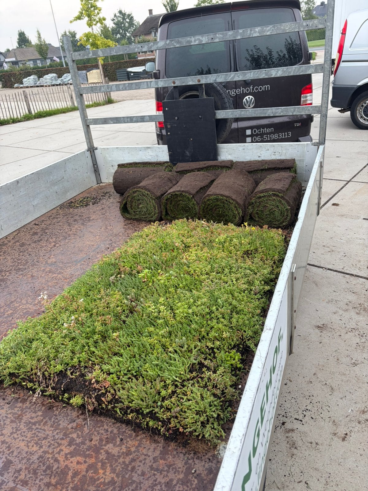 Sedum matten en gras matten mooie bodem bedekking in uw tuin, Ophalen of Verzenden, Volle zon