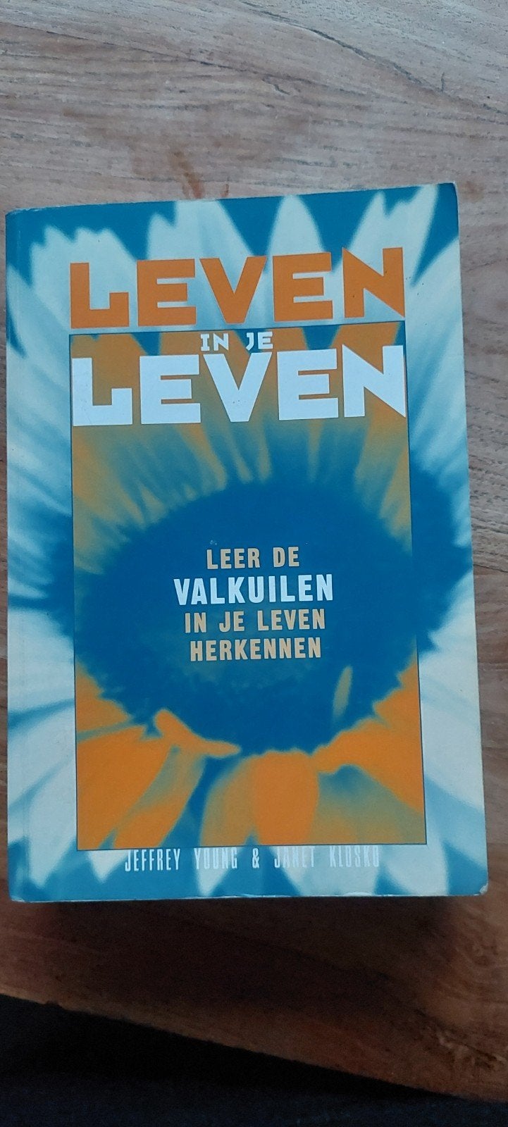 Leven in je Leven: Leer de valkuilen in je leven herkennen, Ophalen of Verzenden, Gelezen, Klinische psychologie, Jeffrey Young & Janet Klosku