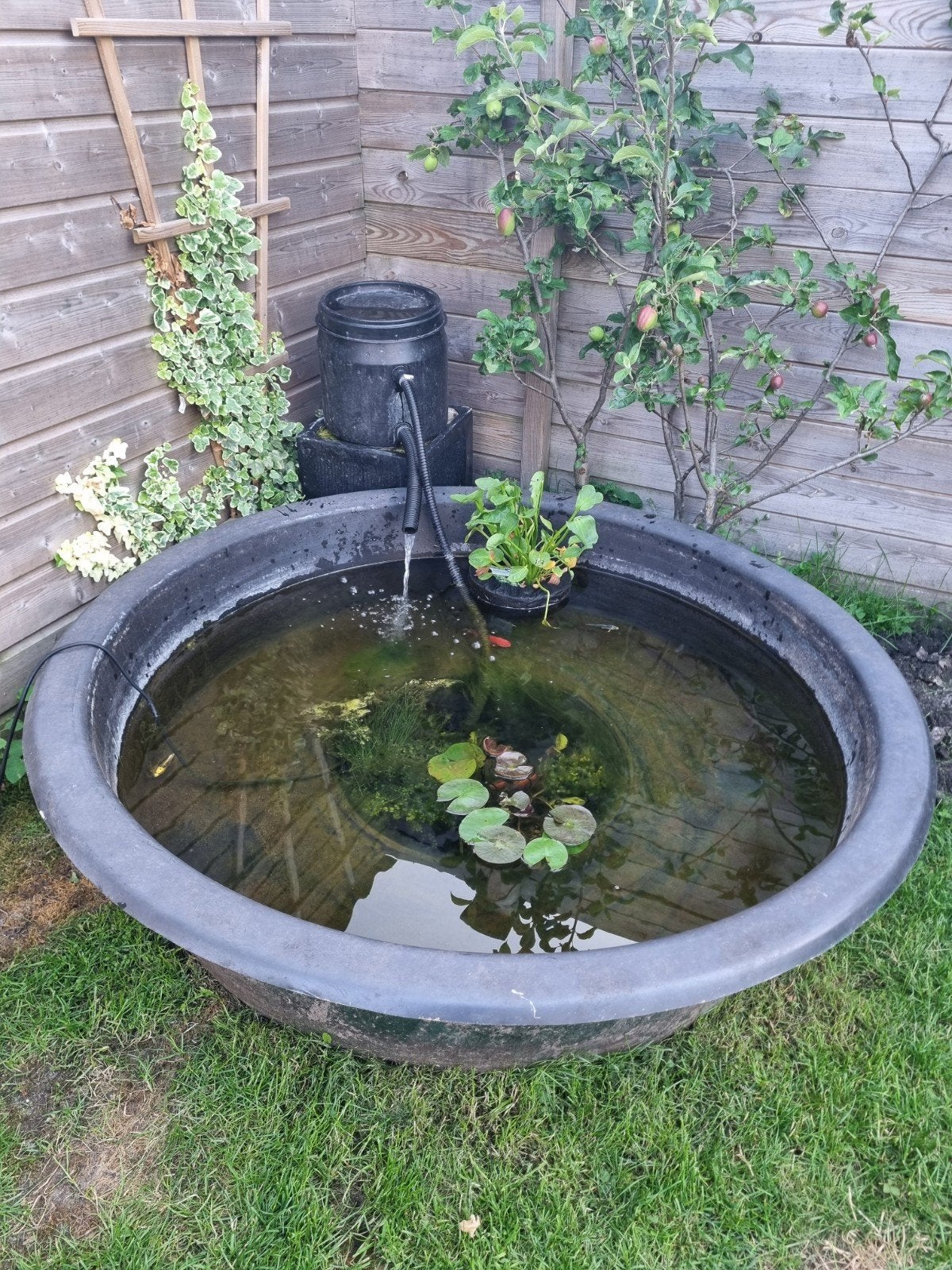 Vijverbak met filtersysteem, Tuin en Terras, Vijvers, Ophalen