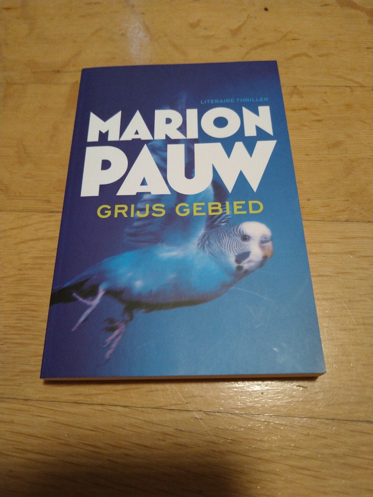 Marion Pauw - Grijs Gebied (Literaire thriller), Ophalen of Verzenden, Gelezen, Marion Pauw, Nederland