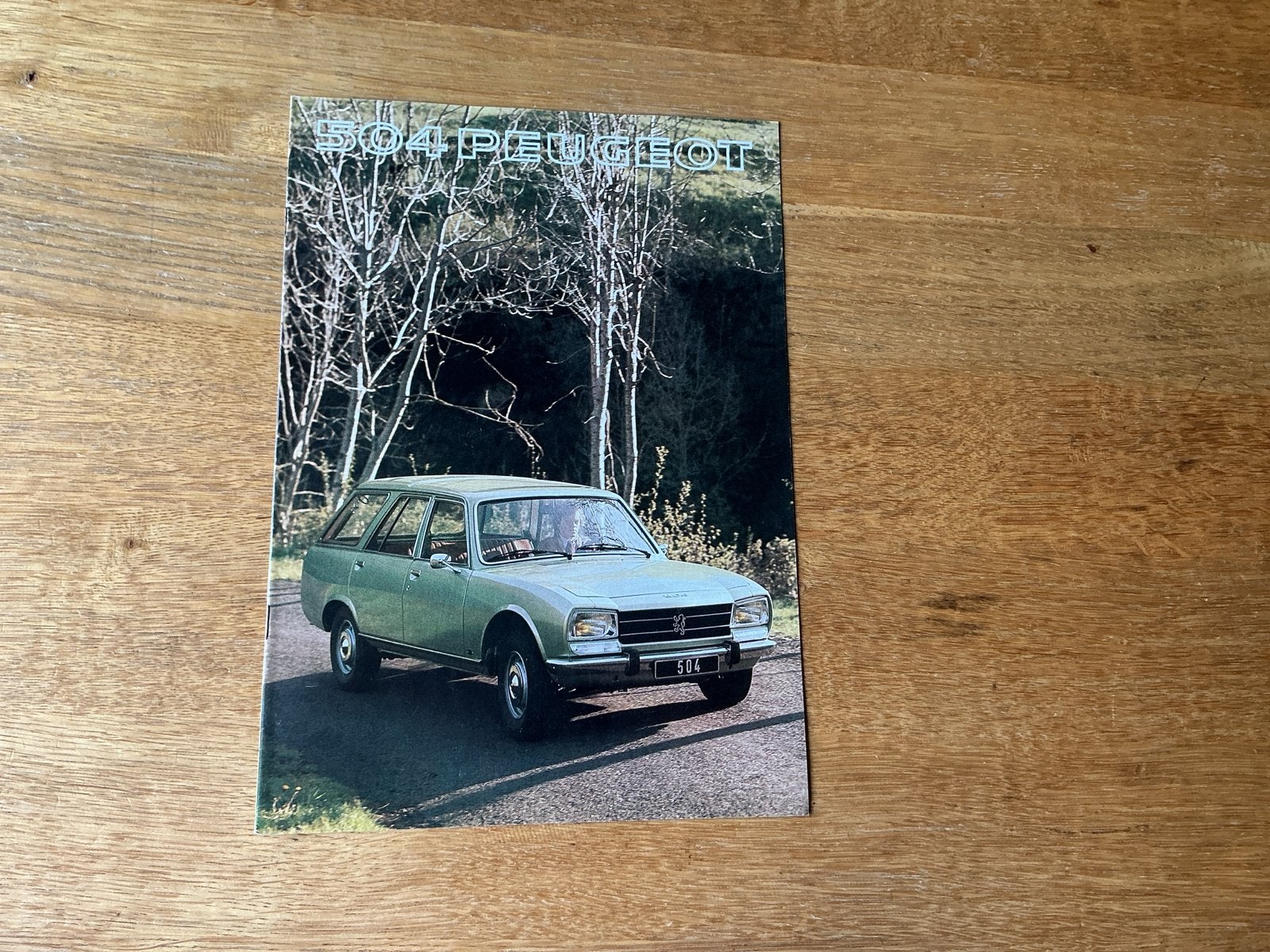 Peugeot 504 Break folder uit 1977, Ophalen of Verzenden, Zo goed als nieuw, Peugeot
