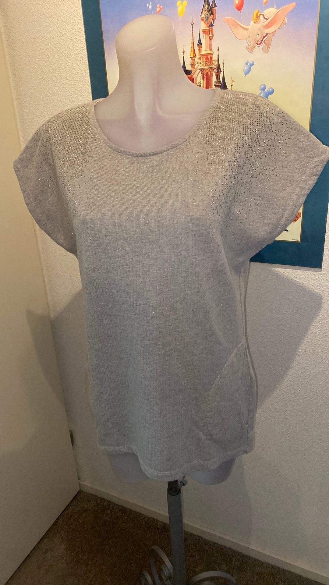 Nieuw mooi shirt maat M merk Stroke by Berry Tielens, Kleding | Dames, Maat 38/40 (M), Nieuw, Ophalen of Verzenden, Korte mouw