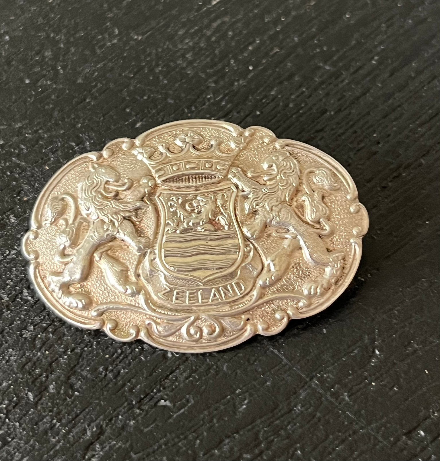 Zilverkleurige broche Zeeland, Overige materialen, 4 tot 7 cm, Verzenden, Nieuw