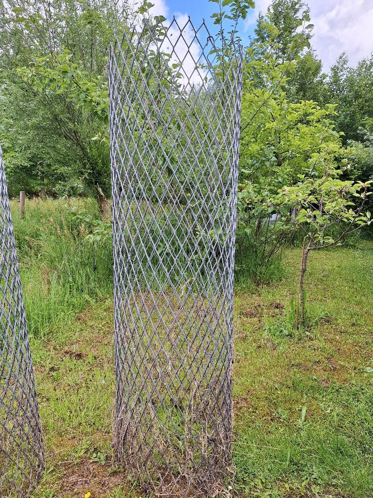 Boomkorf 3x, Ophalen, IJzer