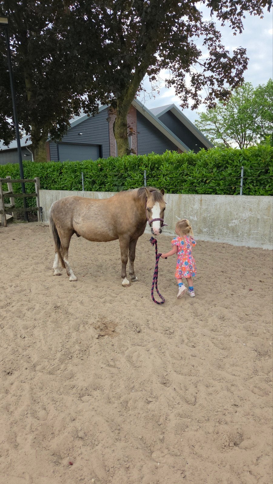 mooie 11 jarige men en knuffelpony, Ruin