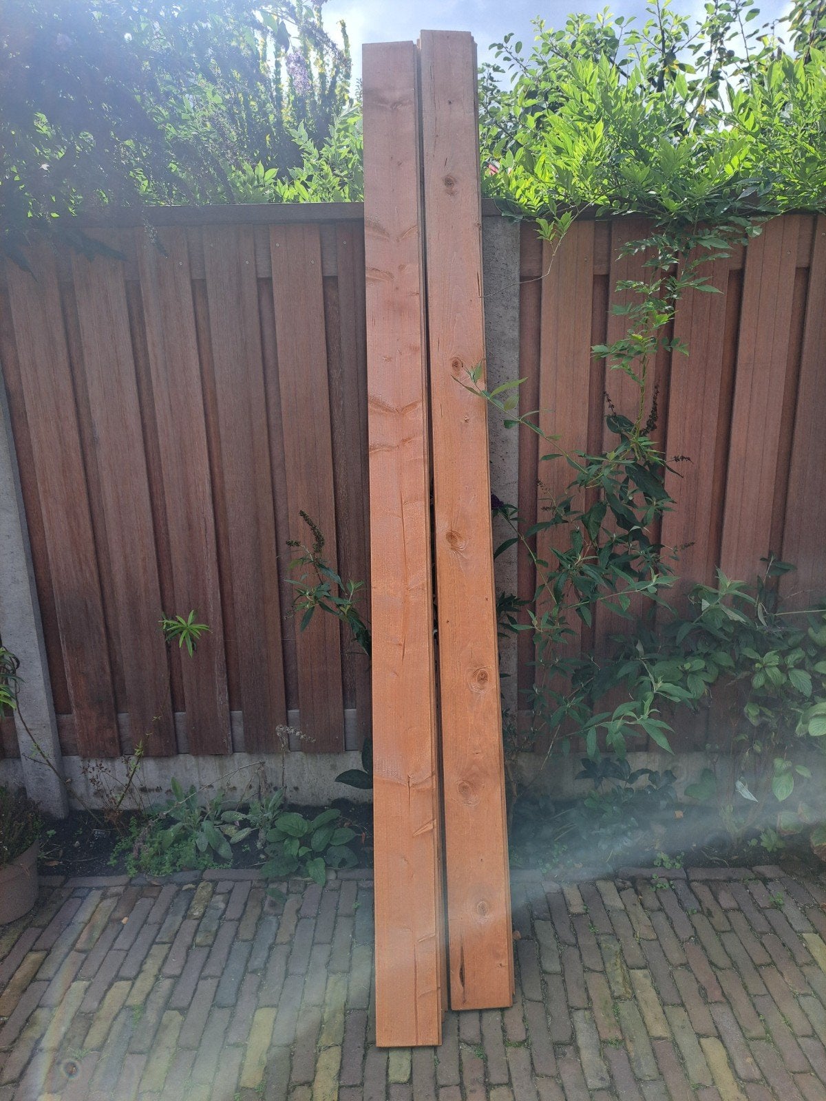 Nieuwe vuren vloerplanken/ parket geïmpregneerd, 25 tot 50 mm, Nieuw, 200 tot 250 cm, Plank