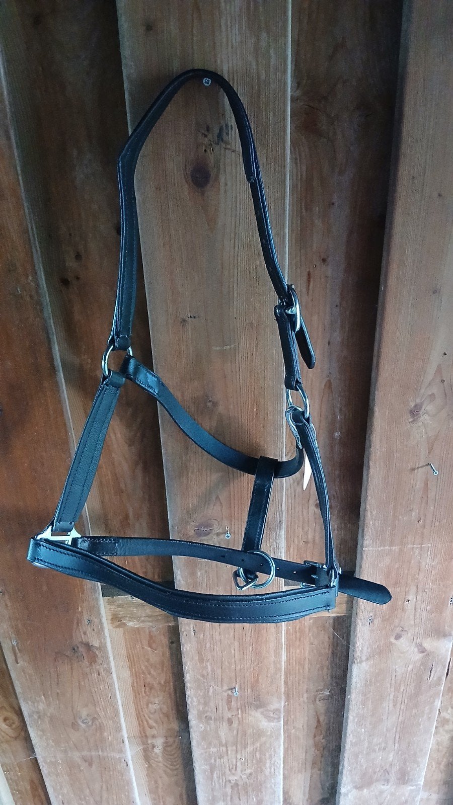 leren pony halster van profirider, Dieren en Toebehoren, Nieuw, Zwart, Halster, Profi-Rider