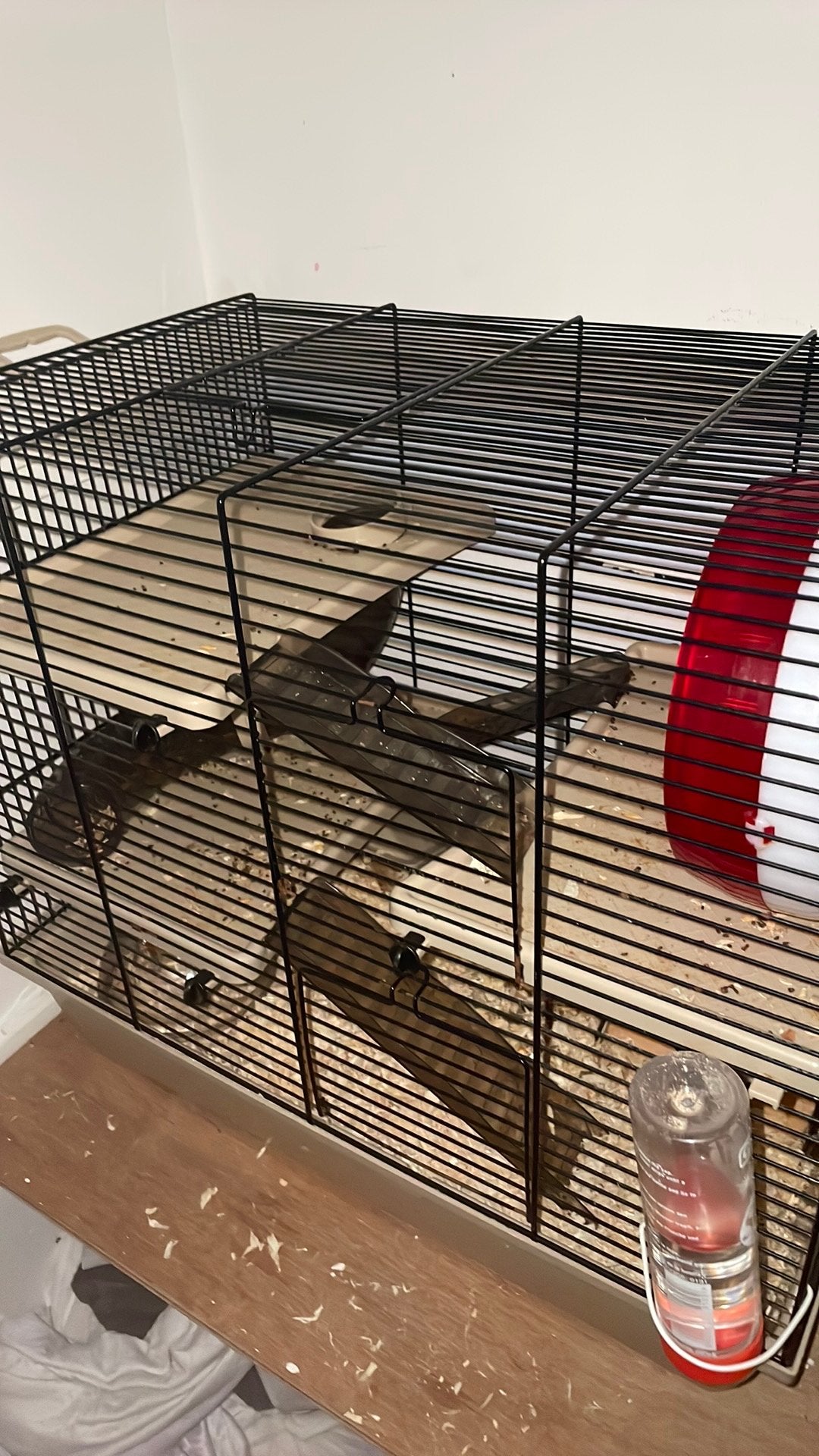 2 Russische dwerghamsters, zusjes, 10 maanden oud, Dieren en Toebehoren, Kooi, Minder dan 75 cm, Zo goed als nieuw, Hamster