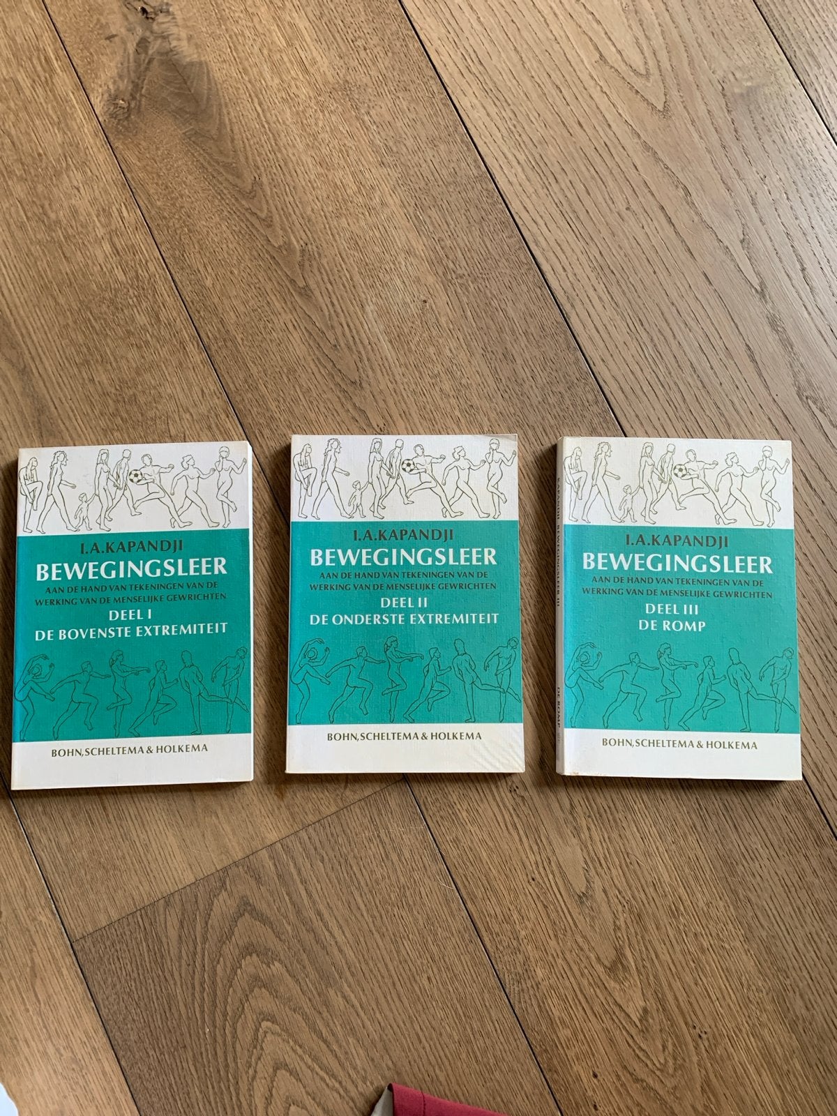 Bewegingsleer Kapandji - Deel I, II, III, Ophalen of Verzenden, Beta, Gelezen, HBO