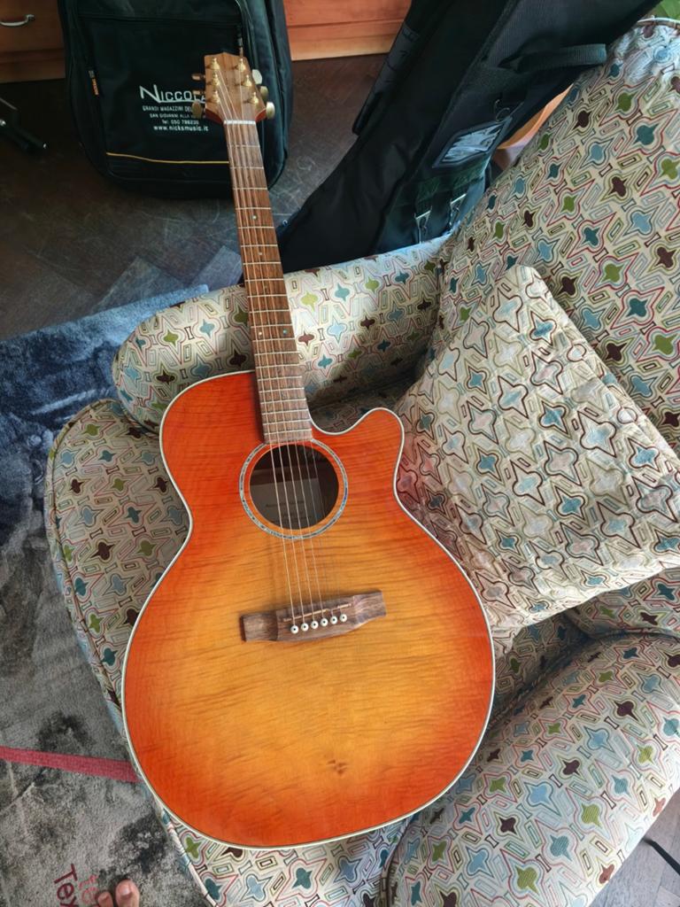 Takamine G-serie Westerngitaar - Zo goed als nieuw, Ophalen