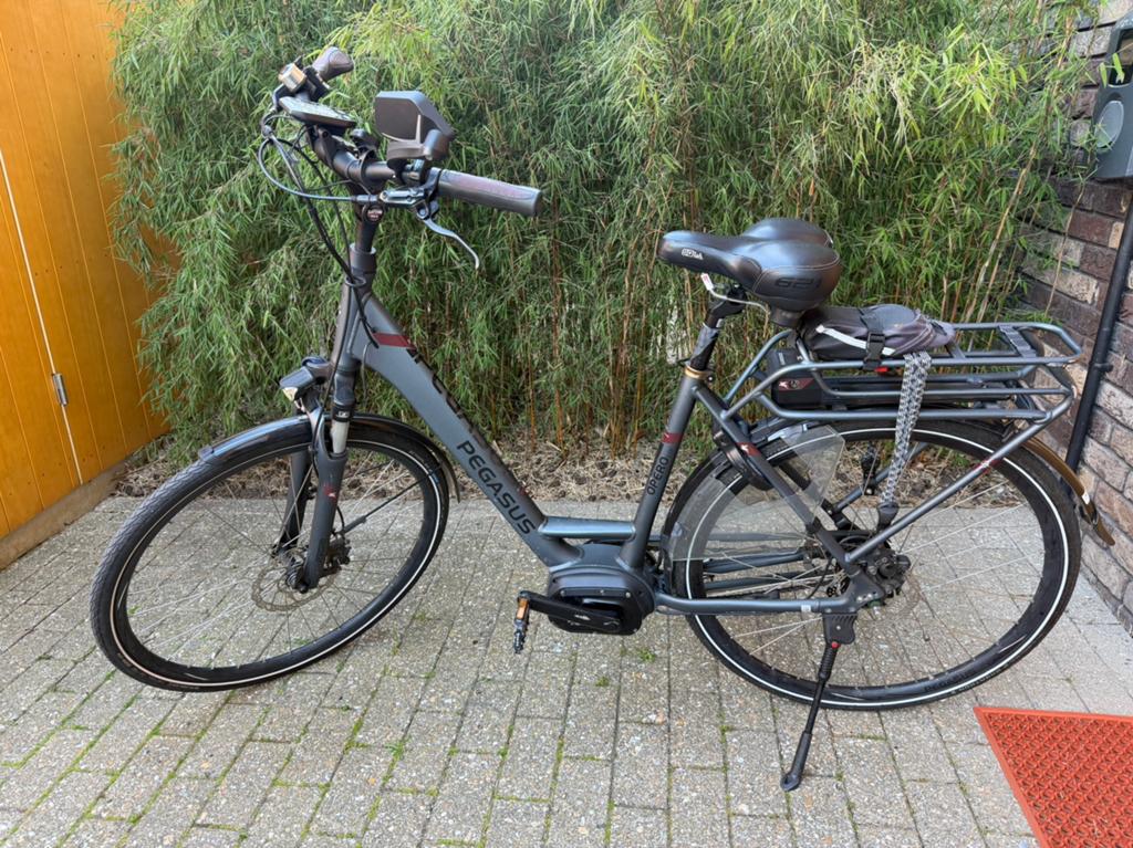 EBike Pegasus Opero E8F 50th Anniversary Edition, Gebruikt, 51 tot 55 cm, 50 km per accu of meer, Ophalen