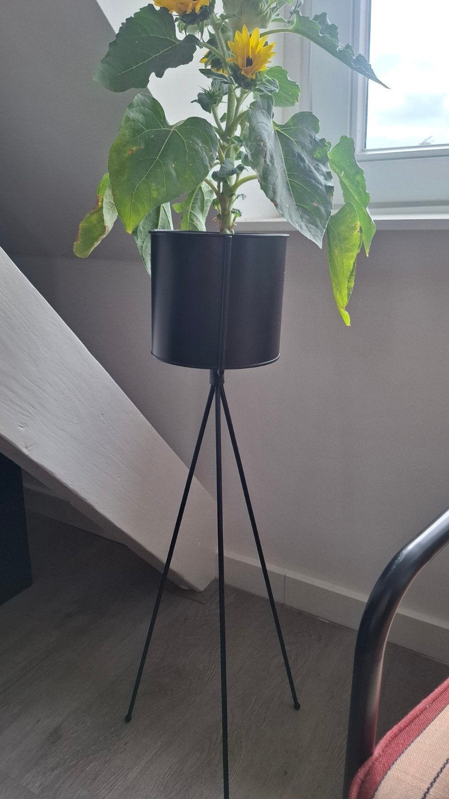 Bloempot, Ophalen, Minder dan 30 cm, Rond, Zo goed als nieuw
