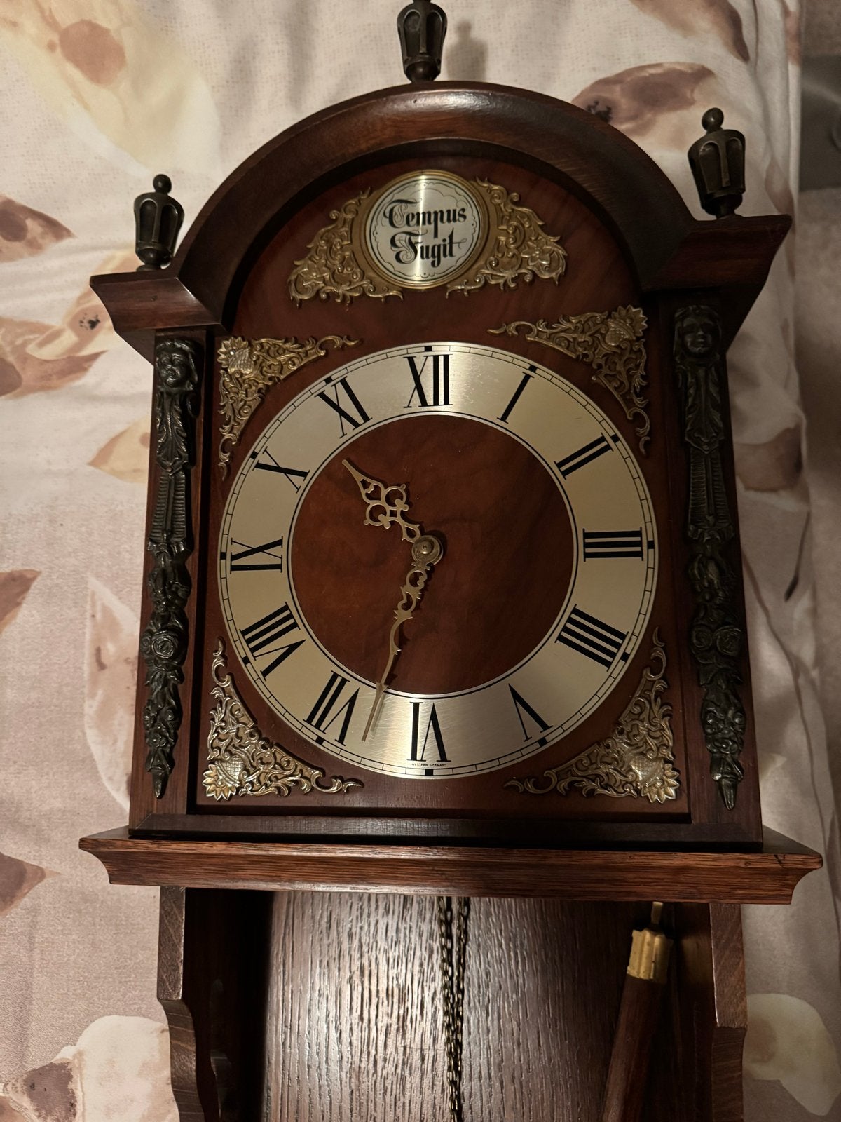 Antieke wandklok met slinger - Tempus Fugit, Ophalen