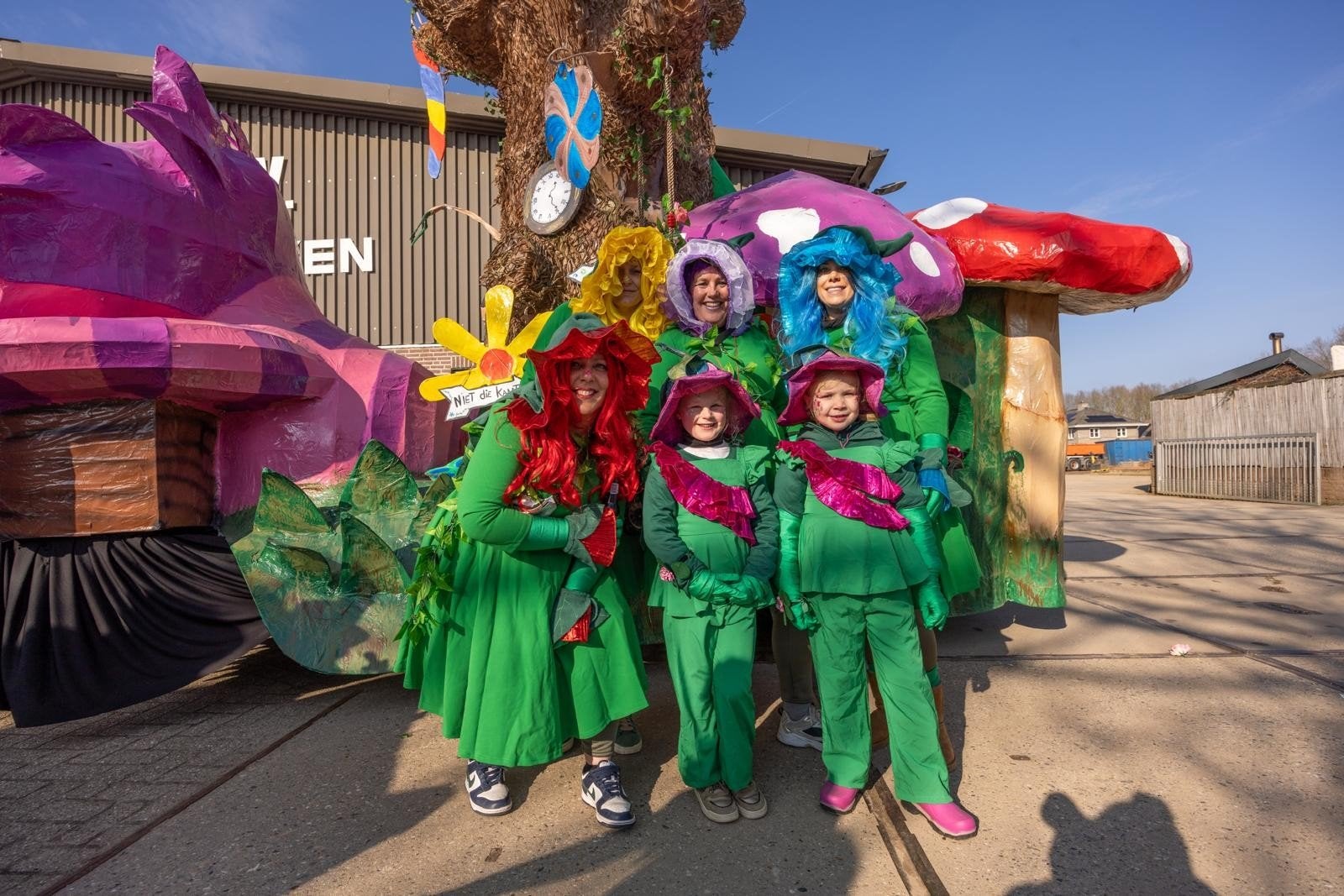 Carnavalskleding: Groene bloemen Natuur Kostuums voor Famili, Ophalen of Verzenden, Gebruikt, Kostuum, Carnaval