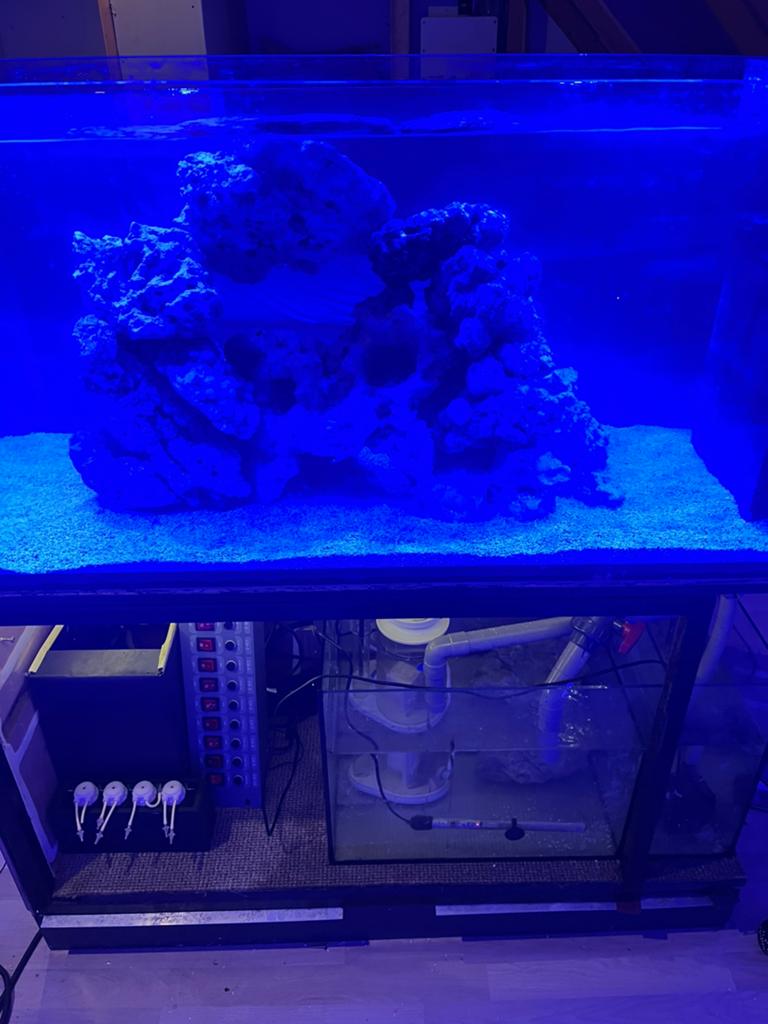 Zee aqauriam 120cm 350 litter, Ophalen, Zo goed als nieuw, Leeg aquarium