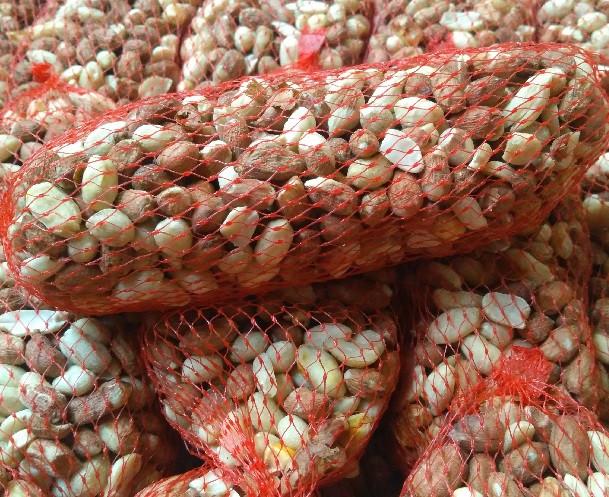 Pindanetjes 10kg 50stuks - Buitenvogelvoer, Dieren en Toebehoren, Dierenvoeding, Vogel, Ophalen