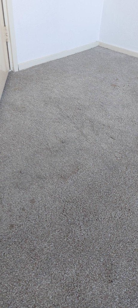 Professional Deep Cleaning at Home, Schoonmaken bedrijfsruimte