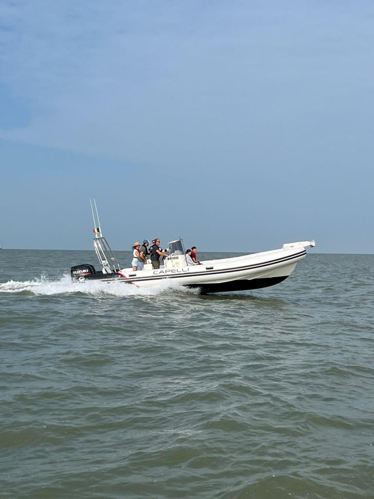 Capelli 900 Sun RIB met 2023 Riba trailer, Watersport en Boten, Rubberboten, Ophalen, Polyester/glasvezel, Overige merken, Gebruikt