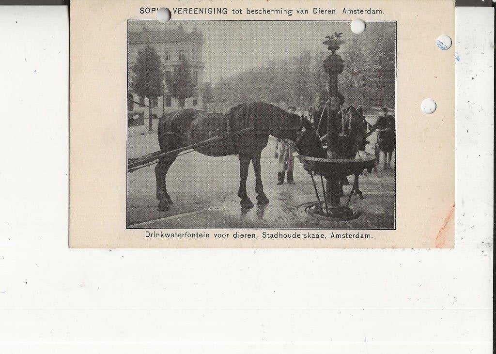 Amsterdam Stadhouderskade Drinkwaterfontein voor de dieren, Ophalen of Verzenden, Voor 1920, Gelopen, Noord-Holland