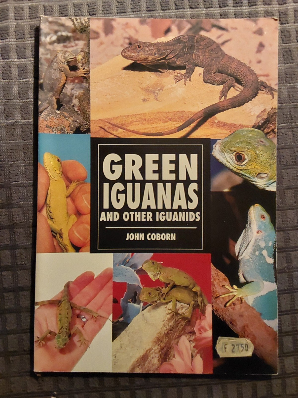 Green Iguanas and Other Iguanids - John Coborn, Boeken, Ophalen of Verzenden, Zo goed als nieuw, Reptielen of Amfibieën, John Coborn