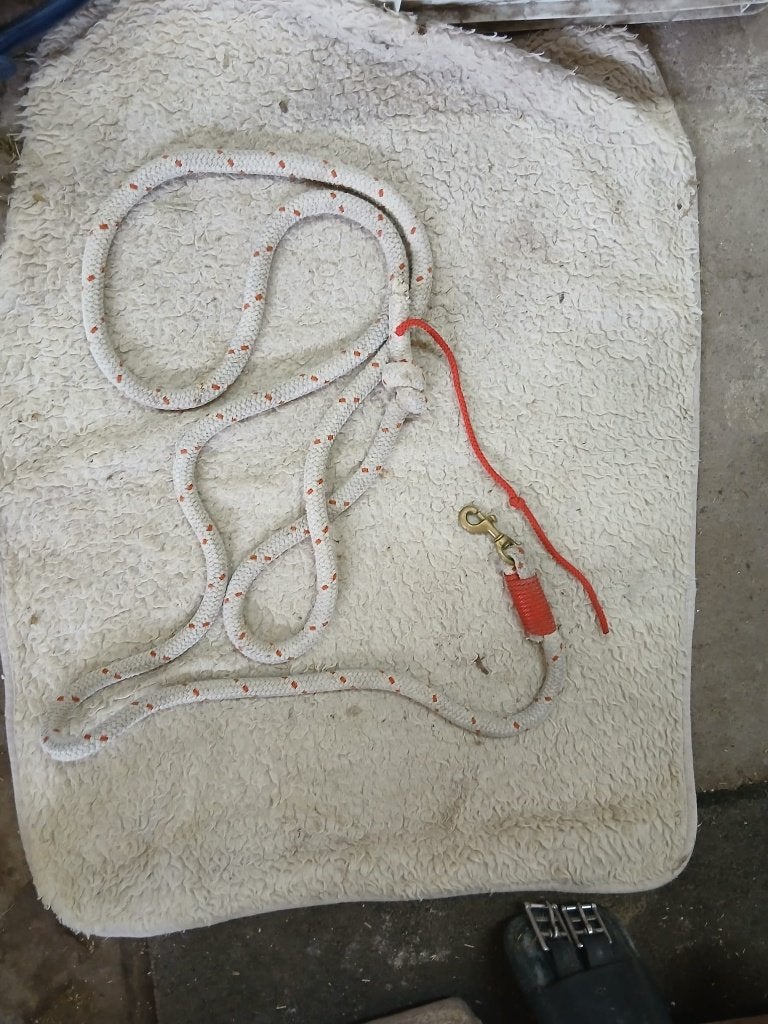 Een fijne leadrope voor het dagelijkse grondwerk, Ophalen of Verzenden, Zo goed als nieuw
