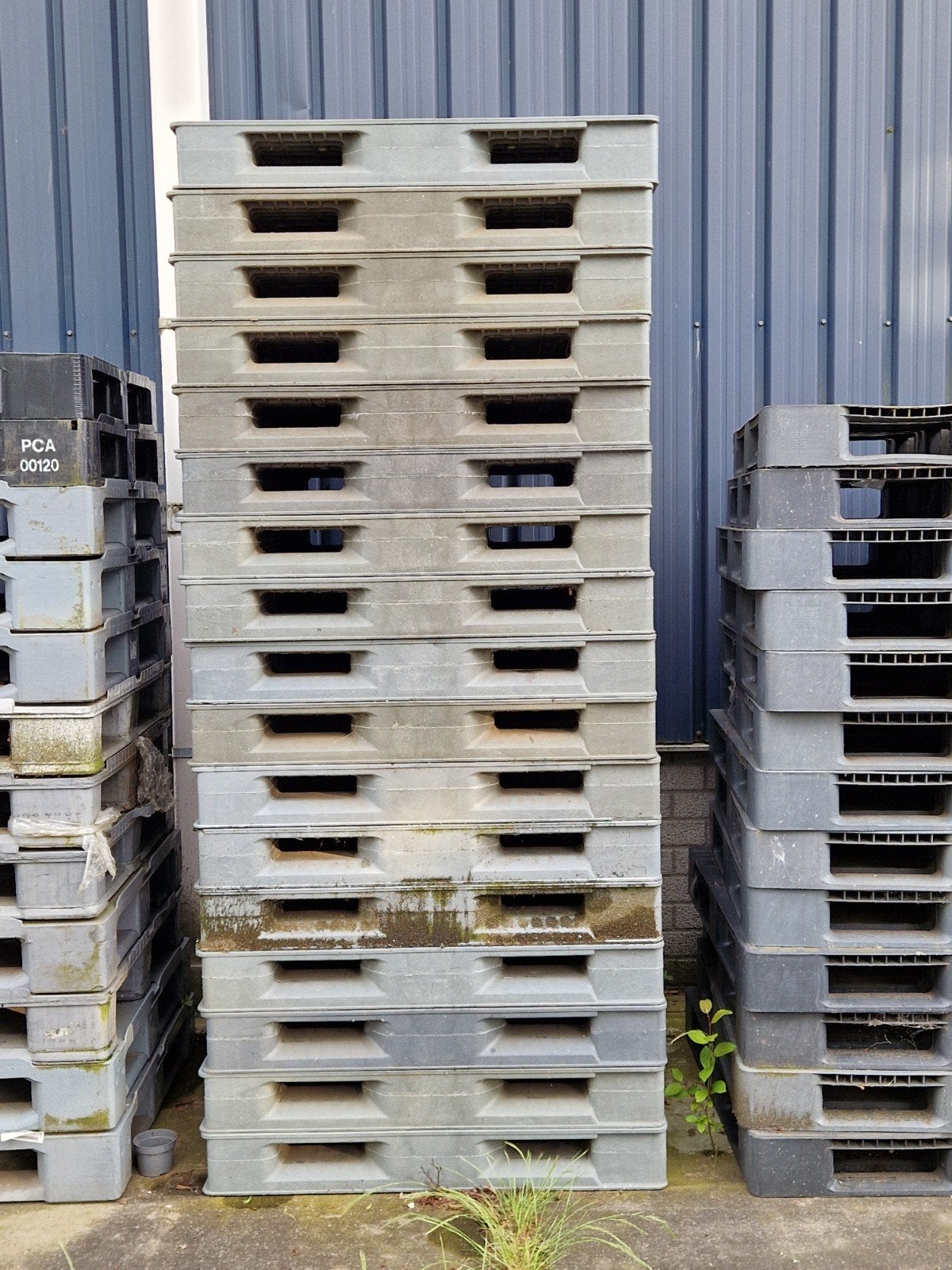 Diverse kunststof pallets - Verschillende maten, Ophalen, Nieuw