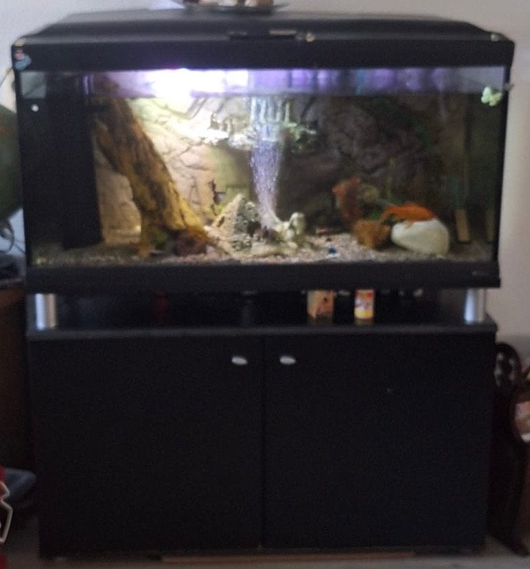 Aquarium met kast, Dieren en Toebehoren, Vissen | Aquaria en Toebehoren, Ophalen, Leeg aquarium