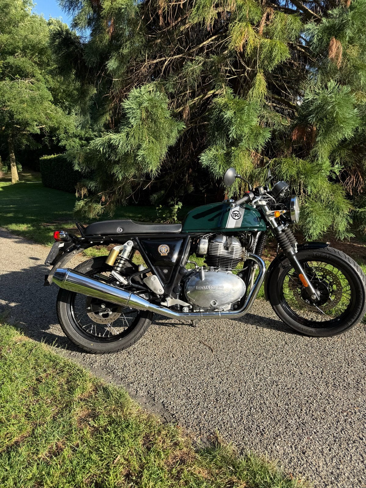Royal Enfield Continental GT 650 - Groen, 2022, Motoren, Motoren | Royal Enfield, 2 cilinders, Motorrijbewijs A, Gebruikt, Meer dan 35 kW