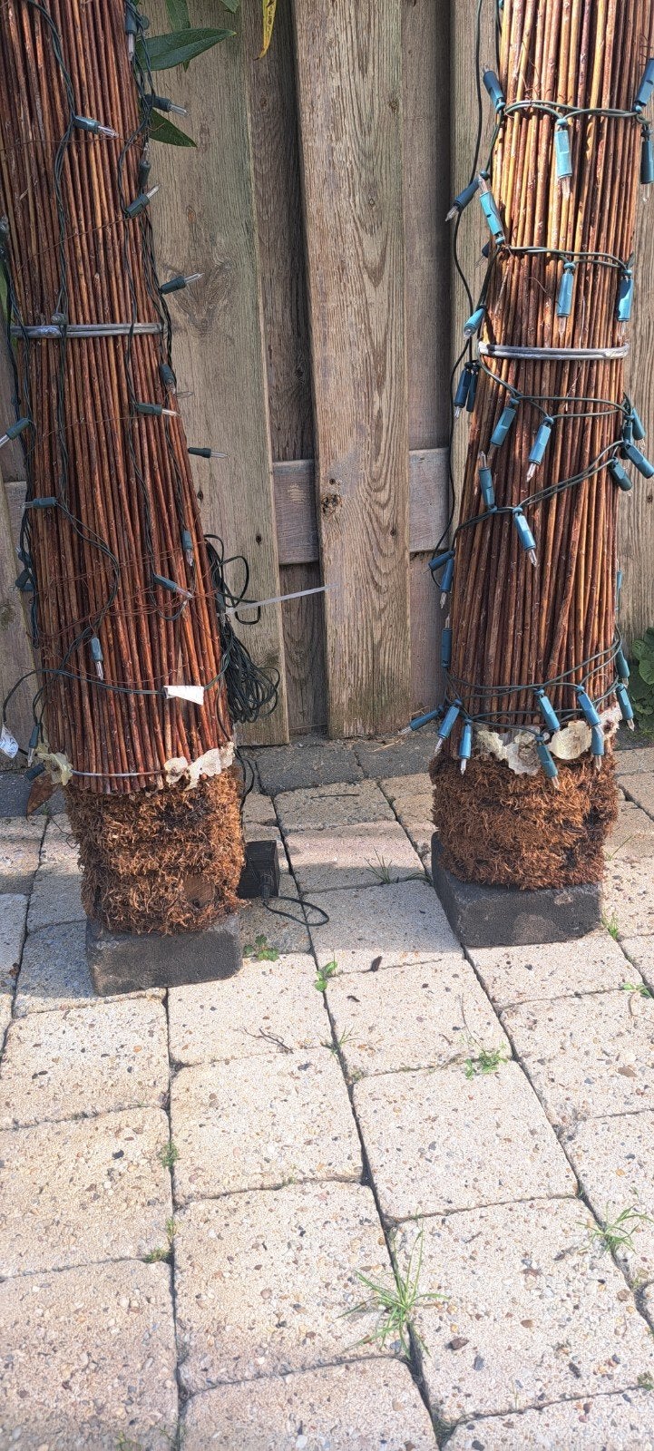 Decoratieve Boompjes met Wilgentakken en Verlichting, Ophalen