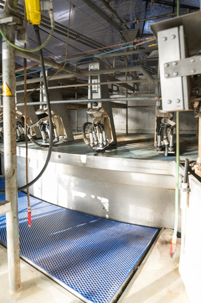 Delaval 40 stands draaimelkstal