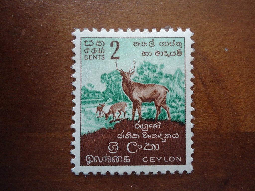 Dier hert Ceylon 1958, mi 294 postfris/ongebruikt, Ophalen of Verzenden, Postfris, Dier of Natuur