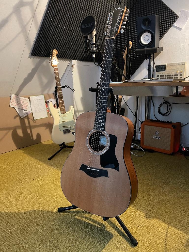 Taylor 150e - 12 snarige semi-akoestische gitaar, Muziek en Instrumenten, Snaarinstrumenten | Gitaren | Akoestisch, Ophalen, Zo goed als nieuw