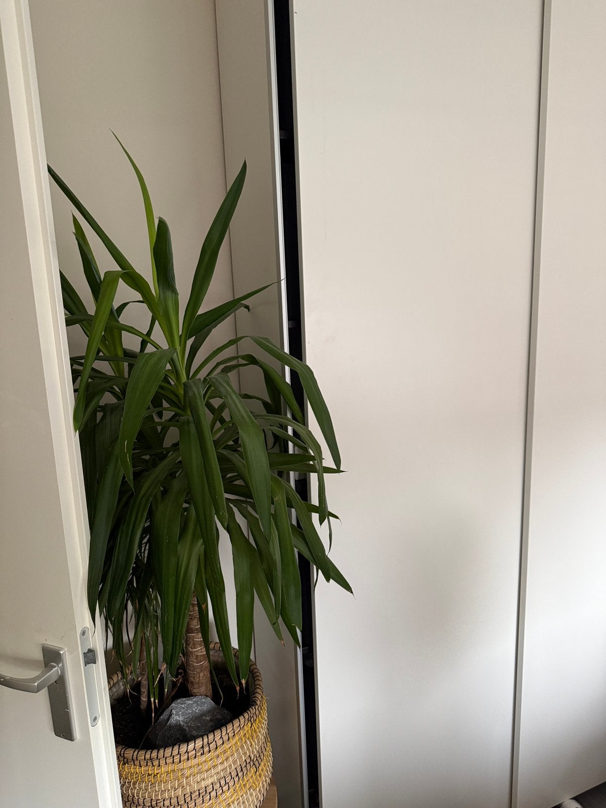 2x IKEA PAX schuifdeuren – compleet, Ophalen