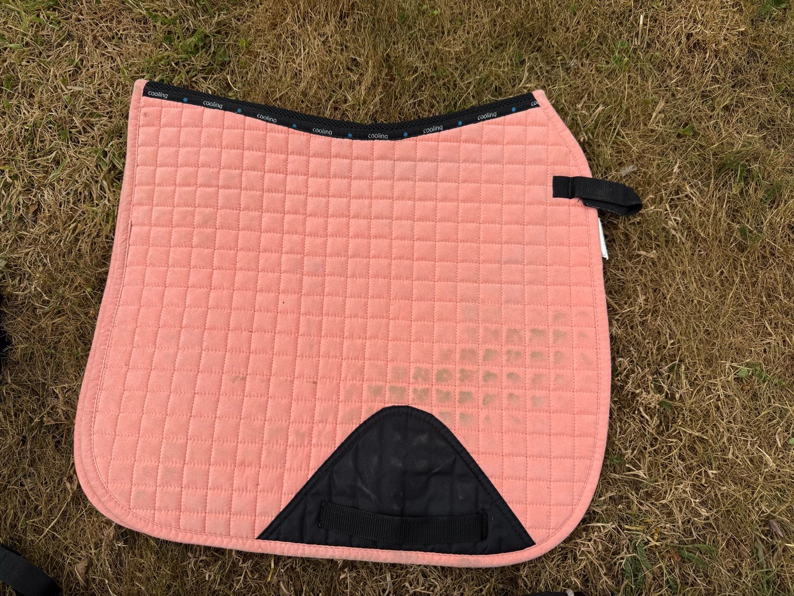 Dekjes 20,- voor alles, Dieren en Toebehoren, Paarden en Pony's | Overige Paardenspullen, Ophalen, Gebruikt, Dressuur