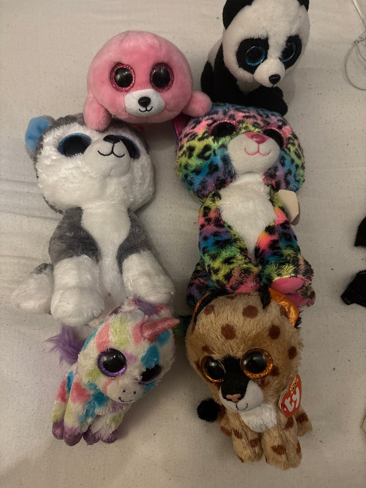 Ty Beanie Boo's Knuffels - Diverse Dieren, Ophalen, Meerkleurig, Klein (minder dan 20 cm), Met label