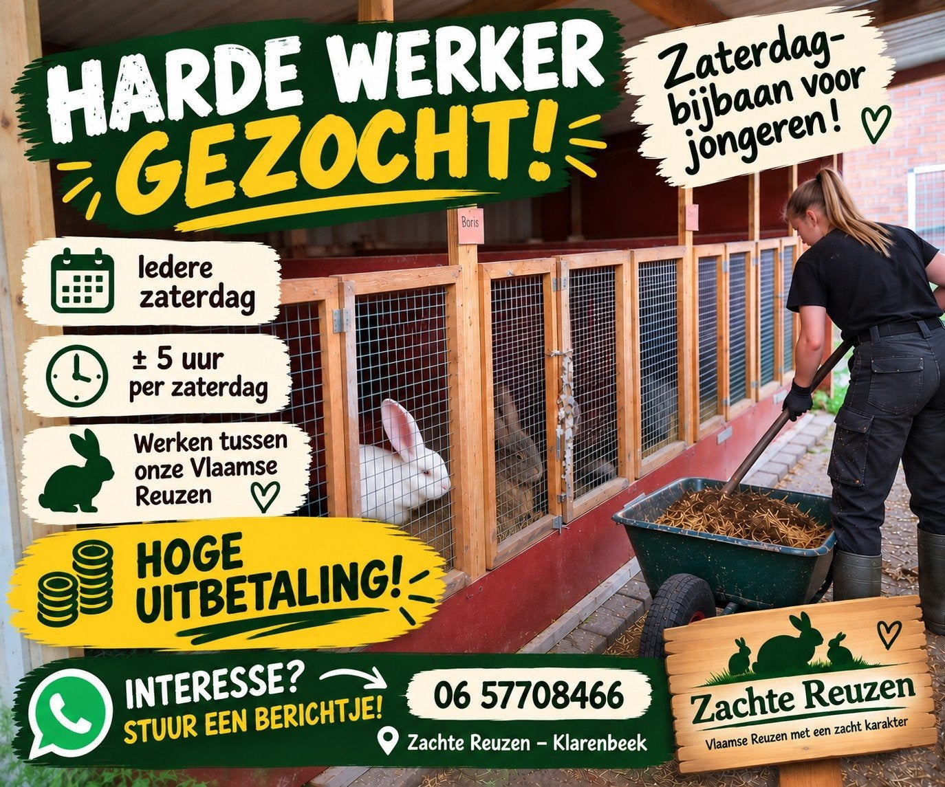 HARDE WERKER GEZOCHT, Vacatures, Starter, Overige vormen, Overige uren, Overige niveaus