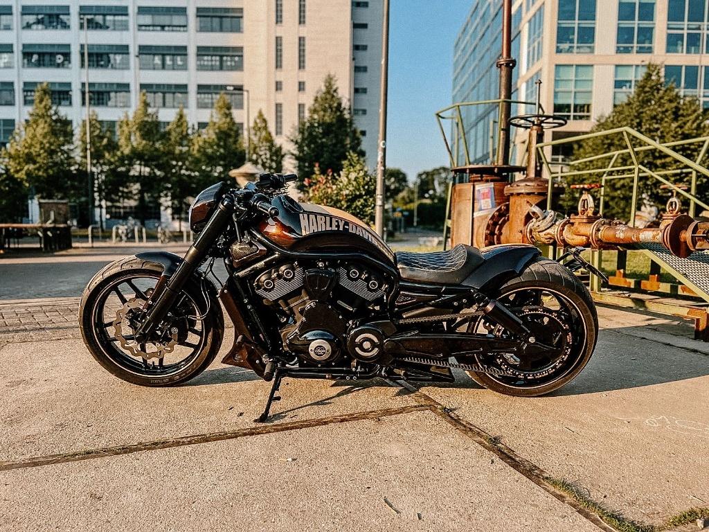 Brute Harley Night Rod Special | 300 achterwiel | Top Custom, Motoren, 2 cilinders, Particulier, Meer dan 35 kW, 1250 cc