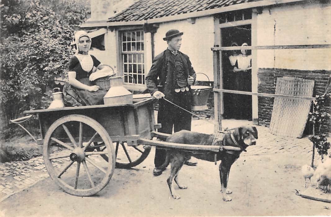 Walcheren hondenkar met melkbussen Middelburg Vintage, Ophalen of Verzenden, Voor 1920, Gelopen, Zeeland