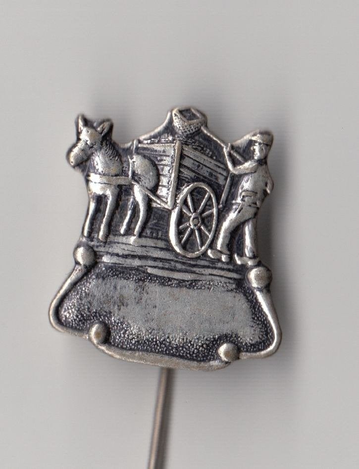Schelpenvisser speldje, Gebruikt, Niet vindbaar, Niet vindbaar, Speldje of Pin